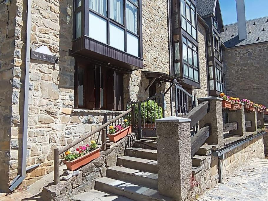 Pena Telera Petfriendly - Arafita Apartamentos El Pueyo de Jaca Buitenkant foto